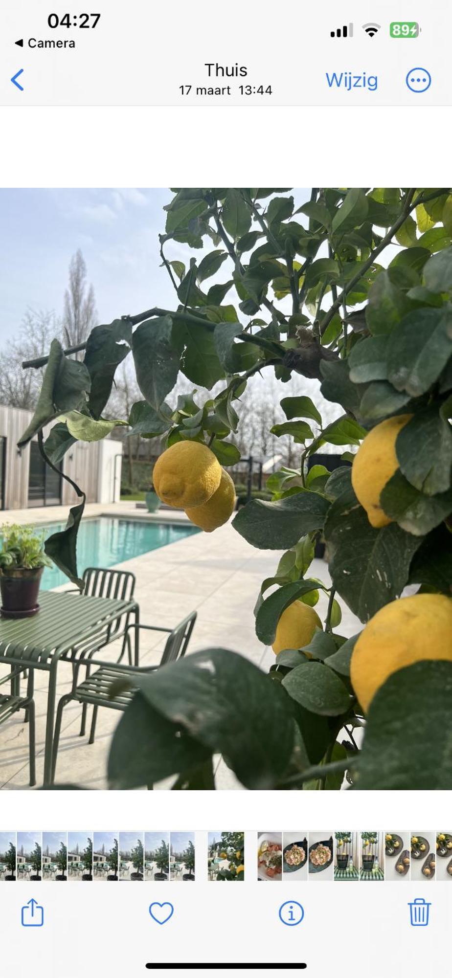 De Lichtboei Bed & Breakfast Kootwijkerbroek Екстериор снимка