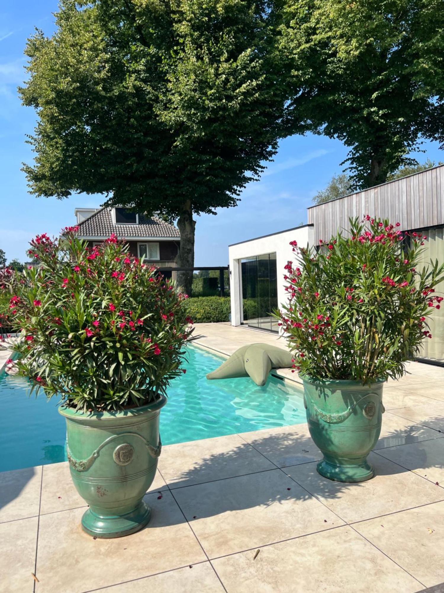 De Lichtboei Bed & Breakfast Kootwijkerbroek Екстериор снимка