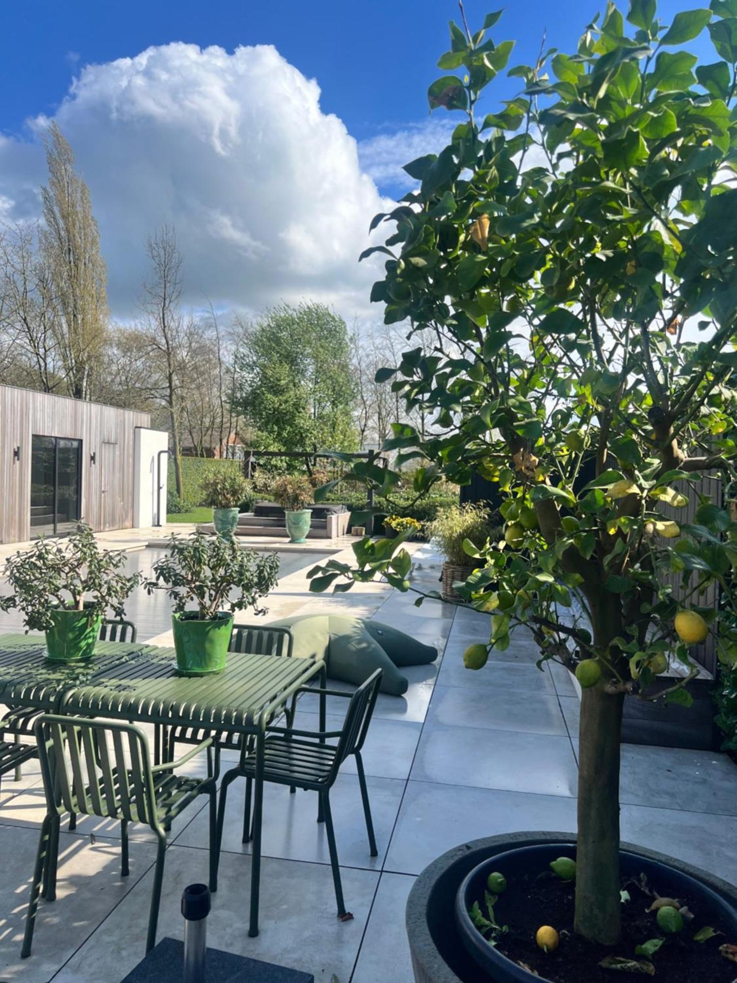 De Lichtboei Bed & Breakfast Kootwijkerbroek Екстериор снимка